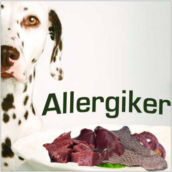 BARF-Futterplan für Allergiker