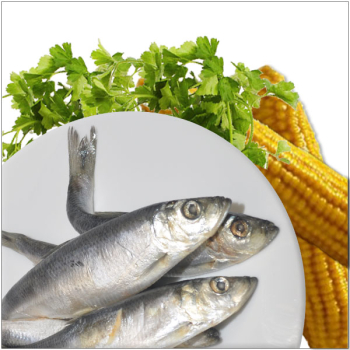 Hering getrockneter ganz 200g